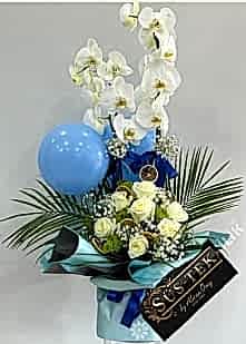 Yeni Do�an Erkek Bebek �i�e�i