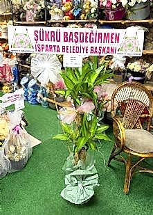 Saks�da 2li Massengena