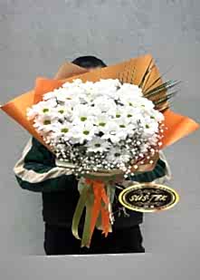 Jumbo Boy Papatya Buketi
